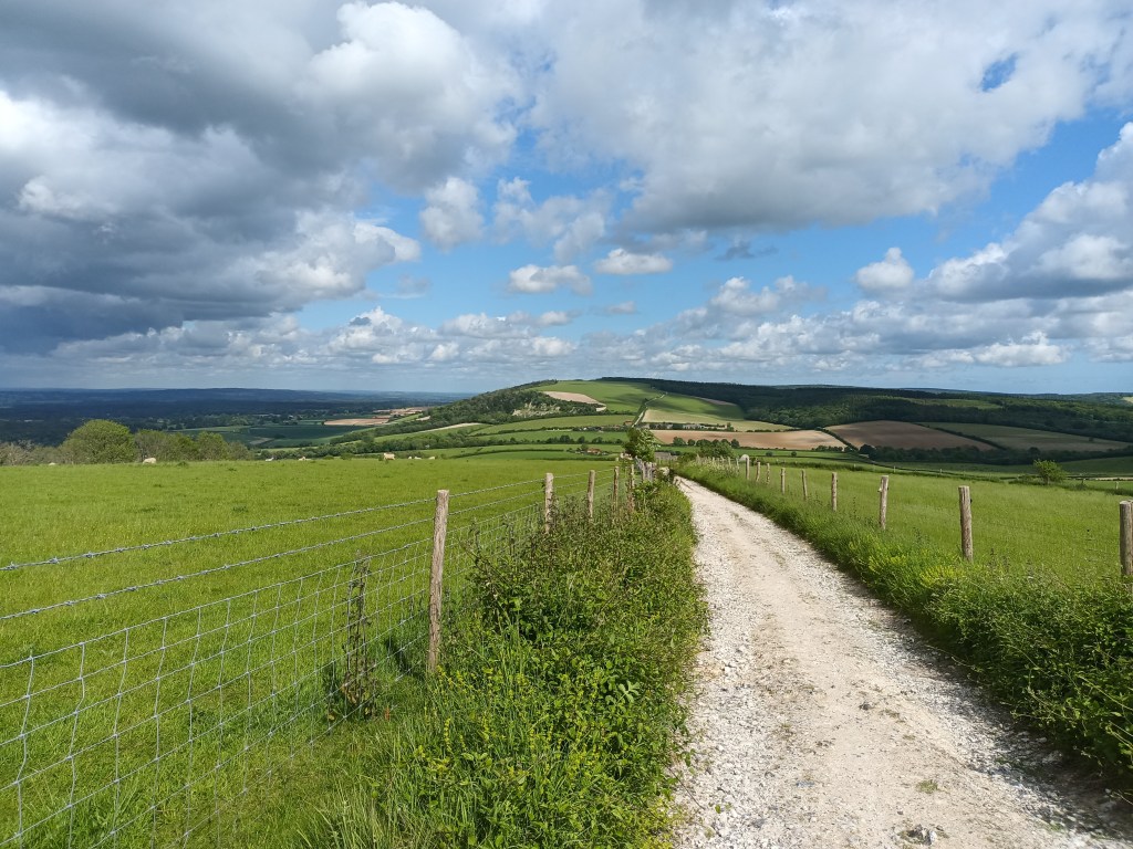 Day 3 Review – Sustainability Centre to Manor Farm, Cocking